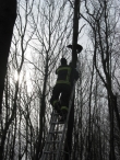 Brandweer redt Frodo