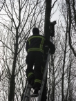 Brandweer redt Frodo
