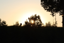 Biddinghuizen