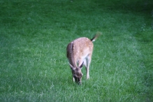 Biddinghuizen
