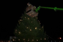 Plaatsen Kerstboom