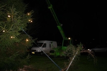 Plaatsen Kerstboom