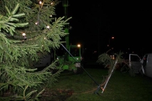 Plaatsen Kerstboom