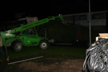 Plaatsen Kerstboom
