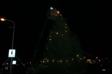 Plaatsen Kerstboom