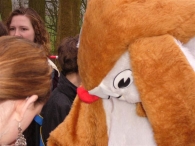 Paaseieren zoeken