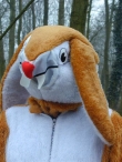 Paaseieren zoeken