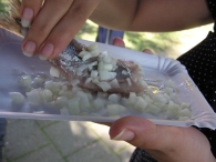 Feestweek 2006