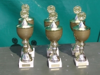 Koninginnedag 2006 (2/2)