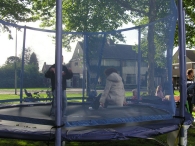 Oktoberfeest 2006: Jaarmarkt