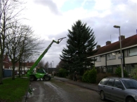 Plaatsen Kerstboom