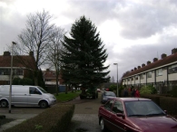 Plaatsen Kerstboom