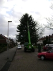 Plaatsen Kerstboom