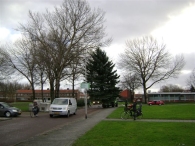 Plaatsen Kerstboom