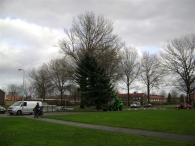 Plaatsen Kerstboom