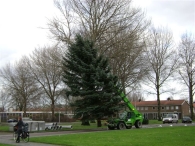 Plaatsen Kerstboom