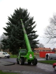 Plaatsen Kerstboom
