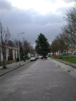 Plaatsen Kerstboom