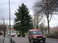 Plaatsen Kerstboom