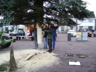 Plaatsen Kerstboom