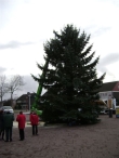 Plaatsen Kerstboom