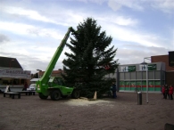 Plaatsen Kerstboom
