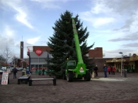 Plaatsen Kerstboom