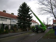Plaatsen Kerstboom