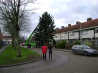 Plaatsen Kerstboom