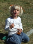 Koninginnedag 2007: Diversen