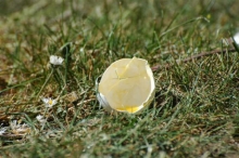 Koninginnedag 2007: Eieren Gooien