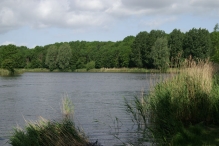 Wandelpad - 19 mei (2)