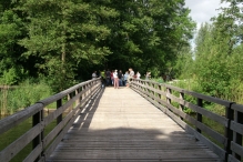 Wandelpad - 19 mei (2)