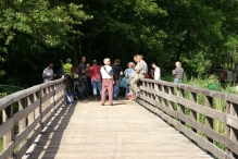 Wandelpad - 19 mei (2)