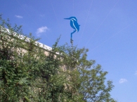 Wandelpad - 2 juni (2)