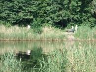 Wandelpad - 2 juni (3)