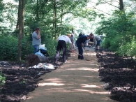 Wandelpad - 2 juni (3)
