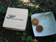 Wandelpad - 2 juni (3)