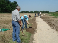 Wandelpad - 2 juni (3)