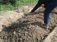 Wandelpad - 5 mei (2)