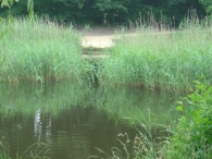 Wandelpad - 9 juni