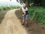 Wandelpad - 9 juni (2)