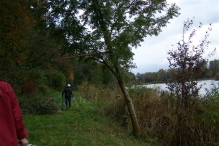 Aanleg broedplaats IJsvogel