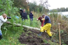 Aanleg broedplaats IJsvogel