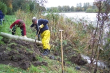 Aanleg broedplaats IJsvogel