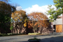 Aanleg broedplaats IJsvogel