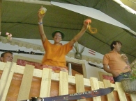 EK 2008: Nederland - Frankrijk