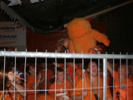 EK 2008: Nederland - Italië