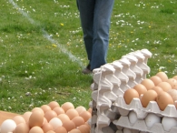 Eierengooien Koninginnedag 2008