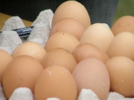 Eierengooien Koninginnedag 2008